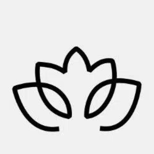 pg模拟器 logo